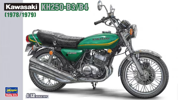 1:12 Scale Hasegawa Kawasaki KH250-B3/B4 (1978/1979) Model Kit