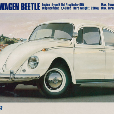 1:24 Scale Hasegawa Volkswagen Beetle 1967 Model Kit
