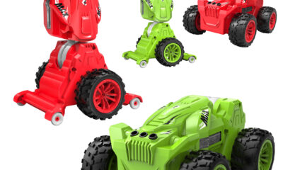 Remote Control Stunt Car Model